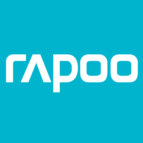 Rapoo RS50 PRO Power Bank With Built in 4 Cable and Flashlight 50000mah